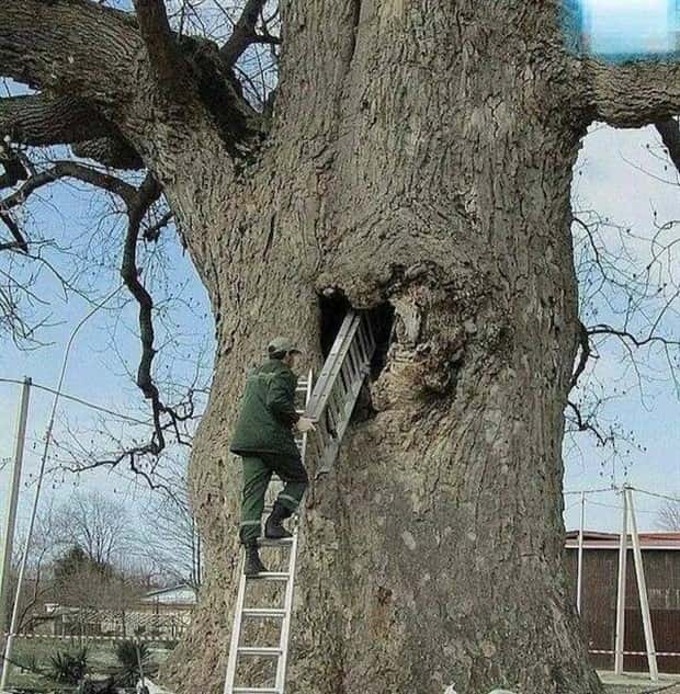 Klyker Picdump #1779 (44 photos)