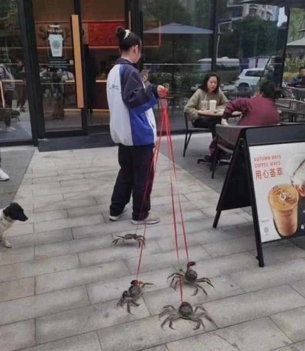 Klyker Picdump #1779 (44 photos)