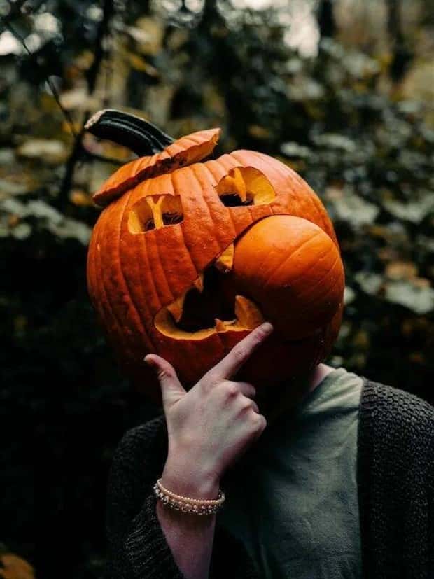 Klyker Picdump #1779 (44 photos)