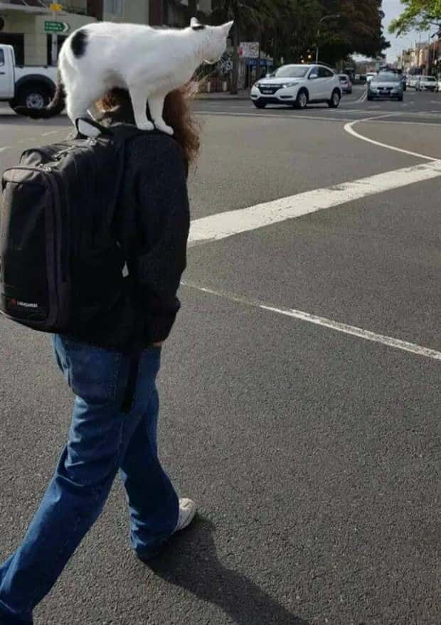 Klyker Picdump #1779 (44 photos)