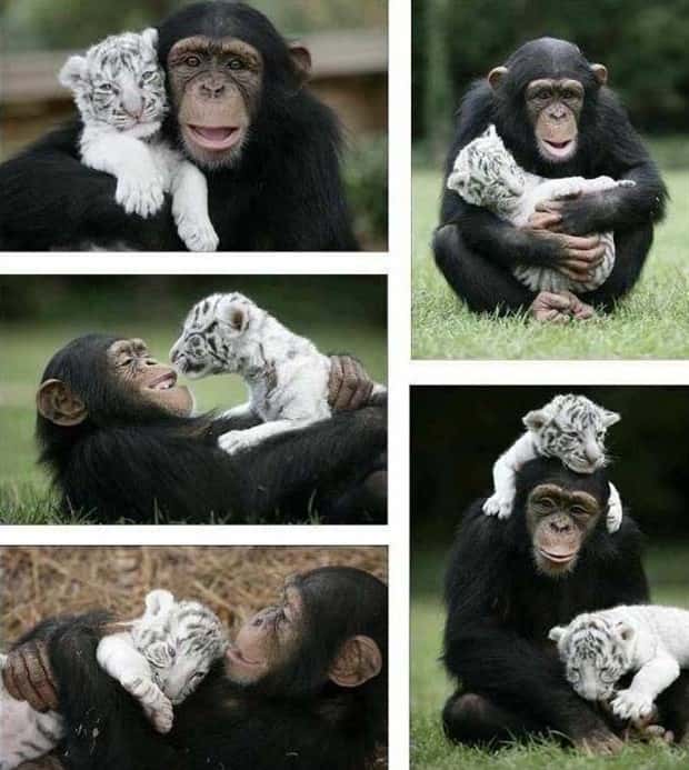 klyker picdump 7 9 2025 20 Klyker Picdump #1763 (43 photos)