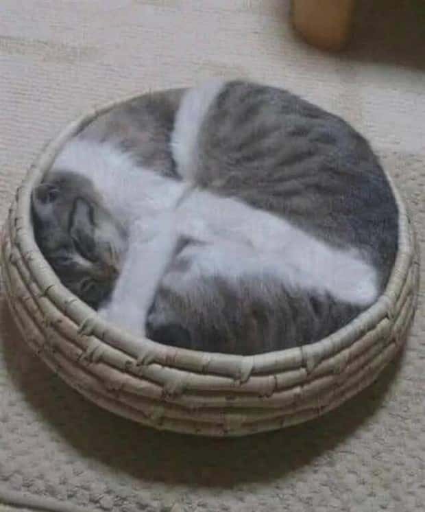 klyker picdump 7 9 2025 28 Klyker Picdump #1763 (43 photos)