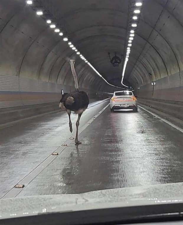 klyker picdump 7 9 2025 32 Klyker Picdump #1763 (43 photos)