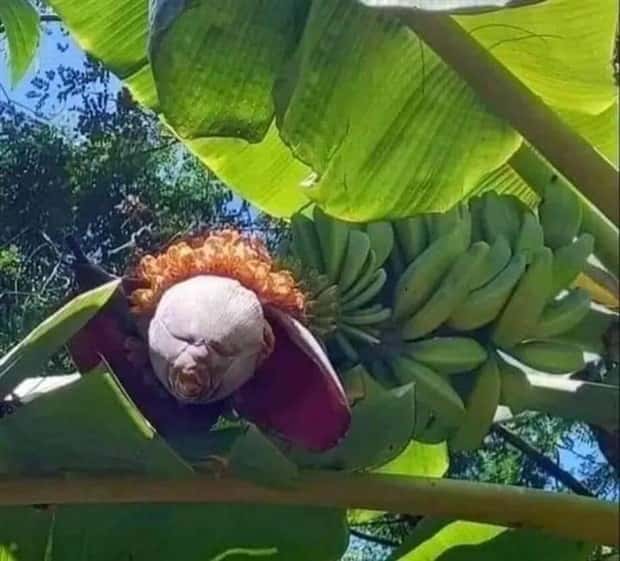 klyker picdump 7 9 2025 43 Klyker Picdump #1763 (43 photos)