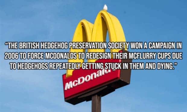 mcdonalds facts 6 McDonald’s Facts Few People Know (15 photos)