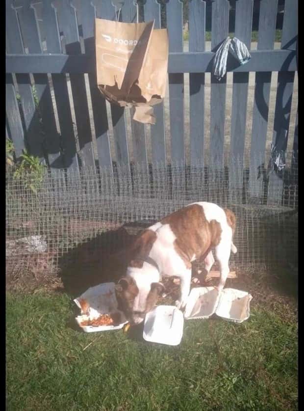 Shit Happens Regularly, Get Used To It #338 (25 photos)