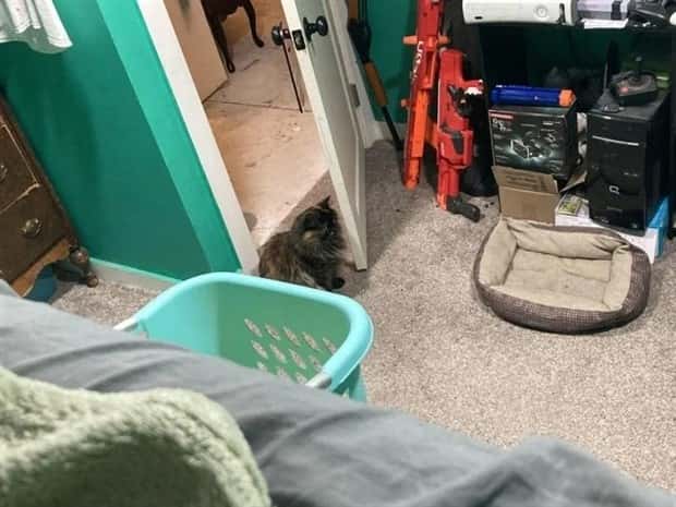 Shit Happens Regularly, Get Used To It #338 (25 photos)