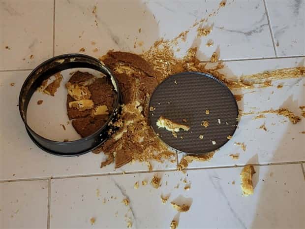 Shit Happens Regularly, Get Used To It #338 (25 photos)