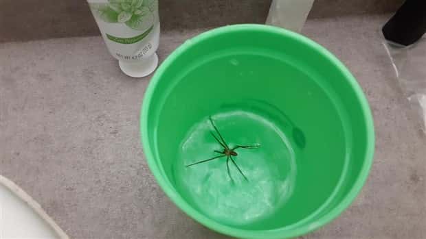 Shit Happens Regularly, Get Used To It #338 (25 photos)