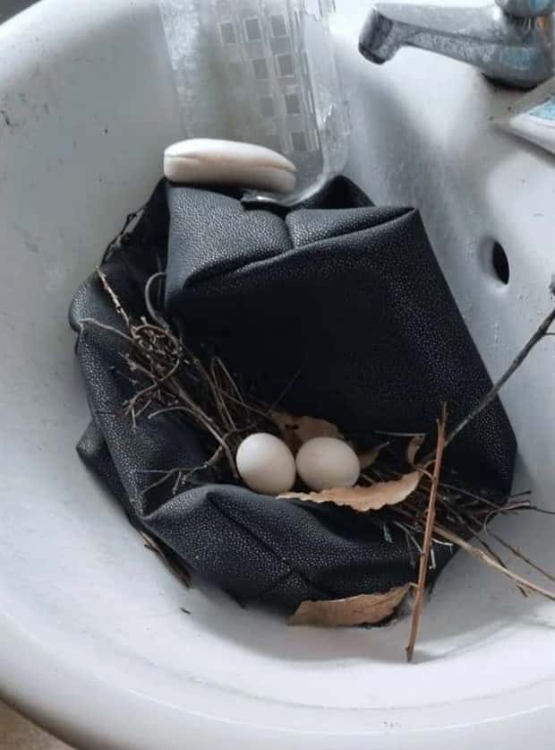 Shit Happens Regularly, Get Used To It #338 (25 photos)