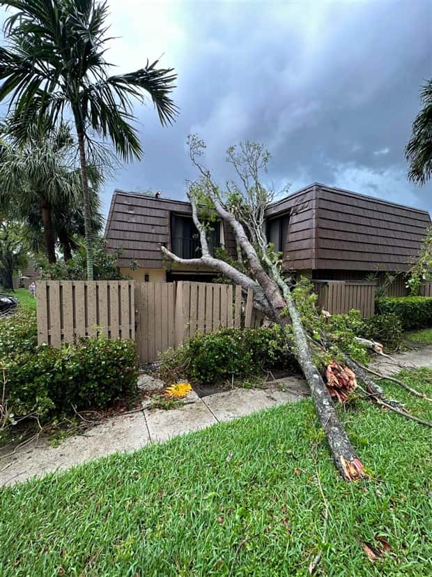 Shit Happens Regularly, Get Used To It #338 (25 photos)