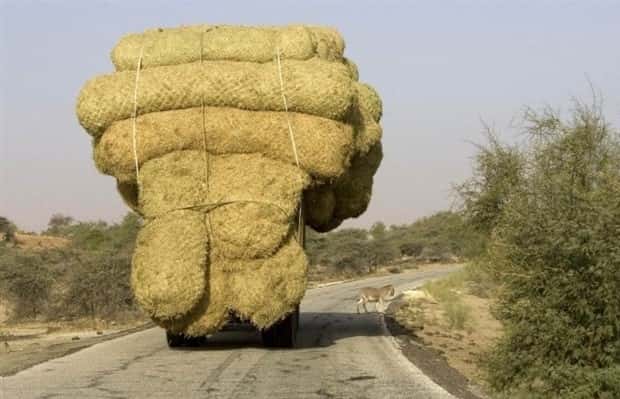 Overloaded Rides Ready to Explode (35 photos)