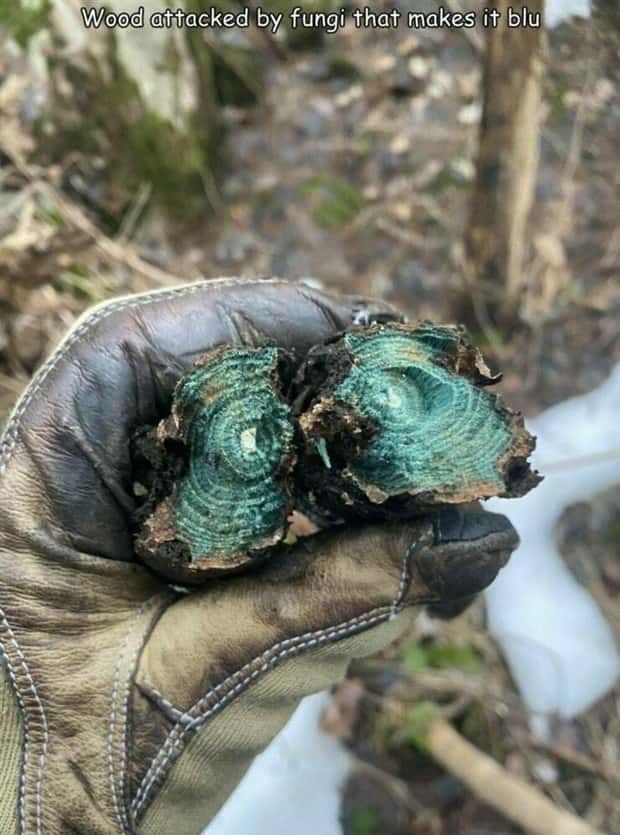 Interesting Pictures with Captions #162 (23 photos)