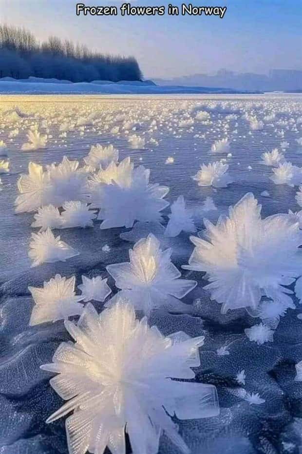 Interesting Pictures with Captions #162 (23 photos)