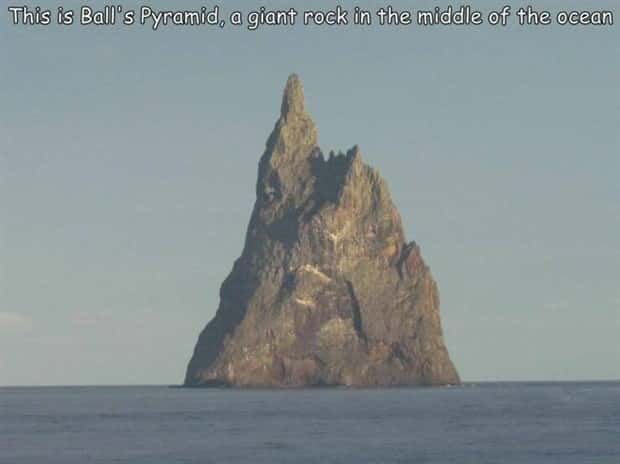 Interesting Pictures with Captions #165 (19 photos)