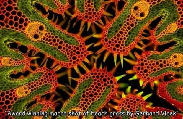 Interesting Pictures with Captions #162 (23 photos)