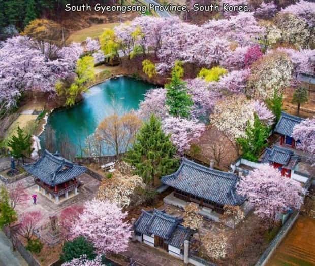 Interesting Pictures with Captions #162 (23 photos)