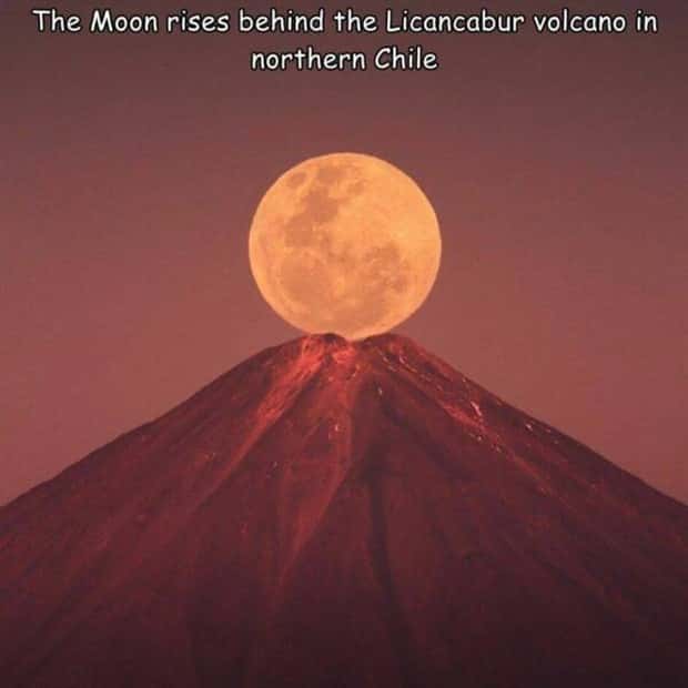 Interesting Pictures with Captions #162 (23 photos)