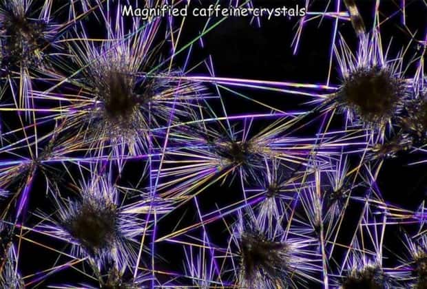 Interesting Pictures with Captions #165 (19 photos)