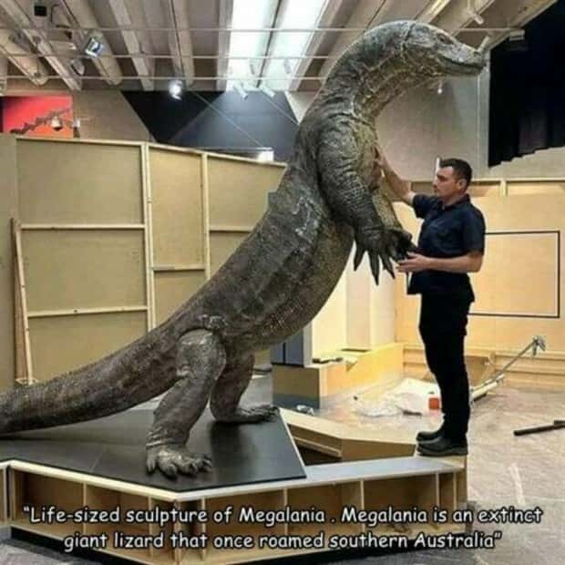 Interesting Pictures with Captions #162 (23 photos)