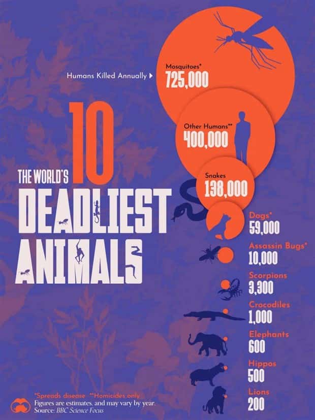 Charts and Maps with Intriguing Data #166 (25 photos)