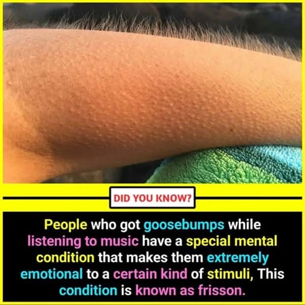 Cool and Interesting Facts #437 (21 photos)