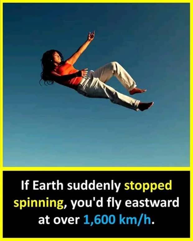 Cool and Interesting Facts #437 (21 photos)