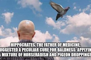 Cool and Interesting Facts #438 (19 photos)