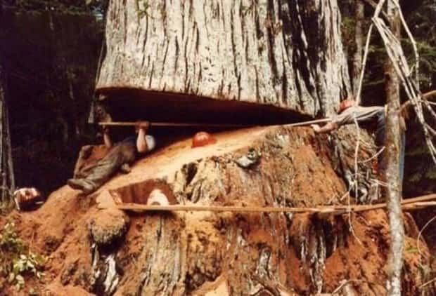 safety fails 25 Ridiculous Safety Fails #22 (25 photos)