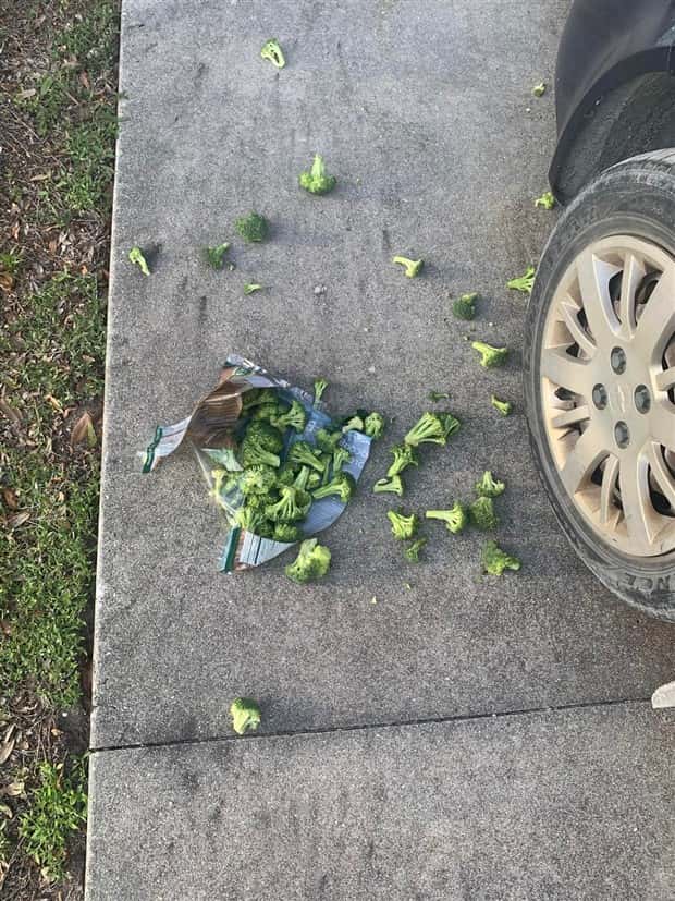 Shit Happens Regularly, Get Used To It #339 (23 photos)