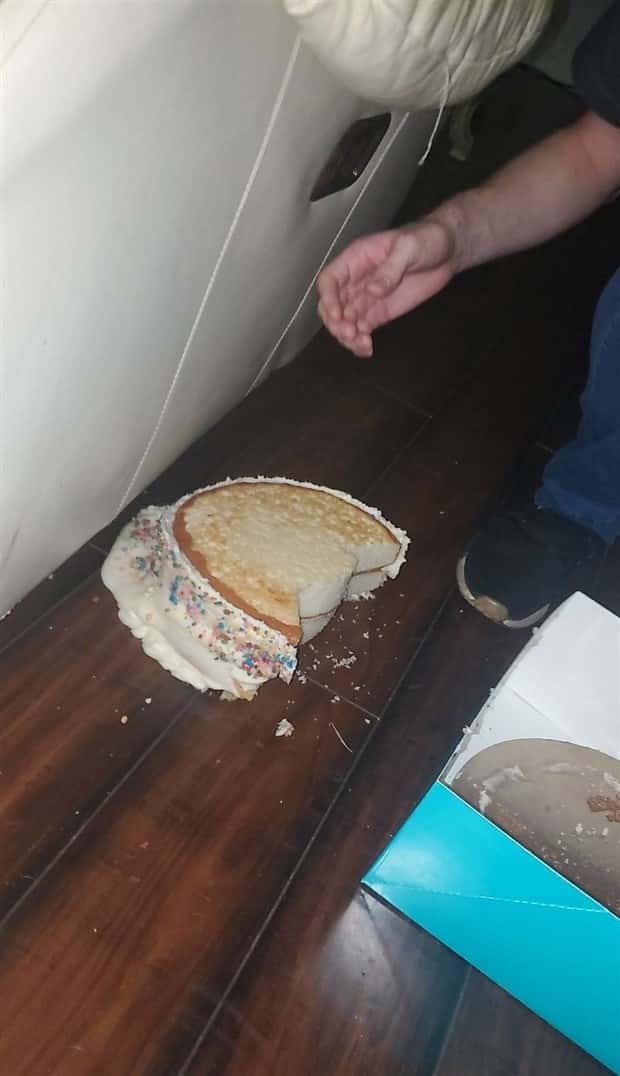 Shit Happens Regularly, Get Used To It #337 (21 photos)