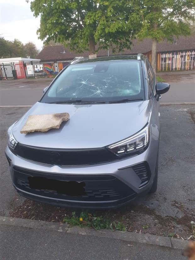 Shit Happens Regularly, Get Used To It #339 (23 photos)