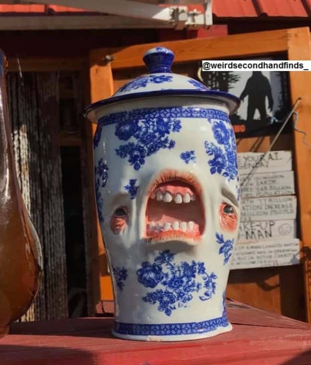 Strange Things Found in Thrift Stores #29 (24 photos)