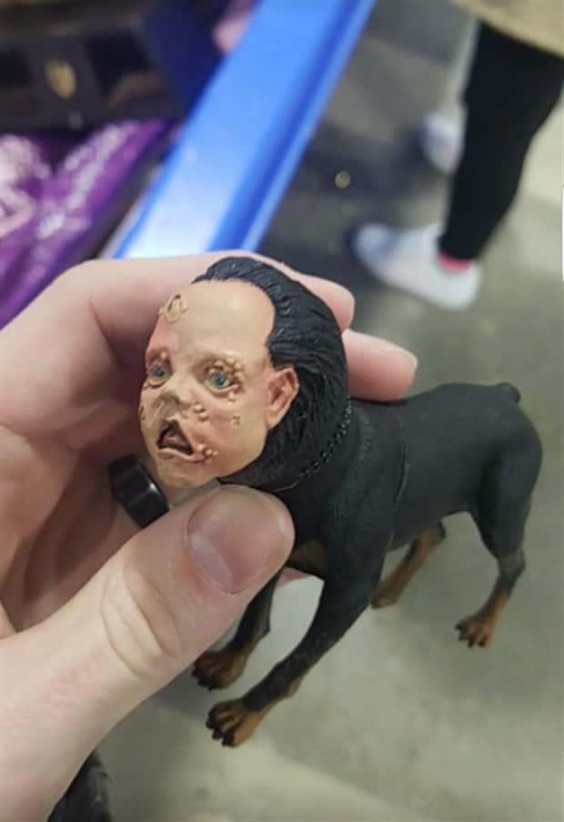 Strange Things Found in Thrift Stores #29 (24 photos)