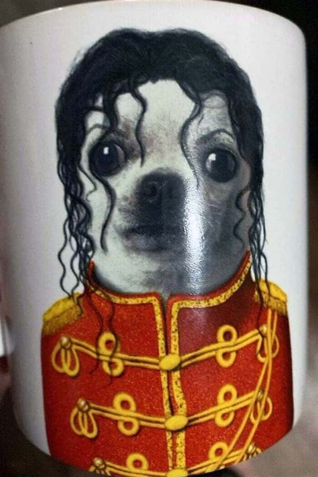 Strange Things Found in Thrift Stores #29 (24 photos)