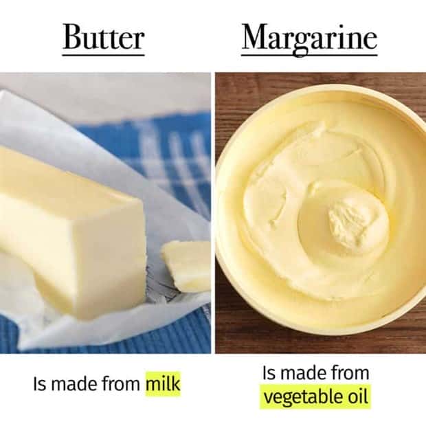 Things People Mix Up Constantly (39 photos)