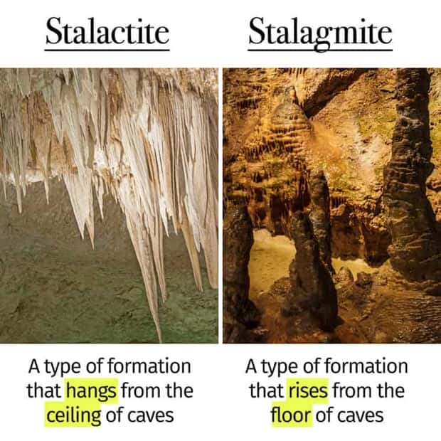 Things People Mix Up Constantly (39 photos)
