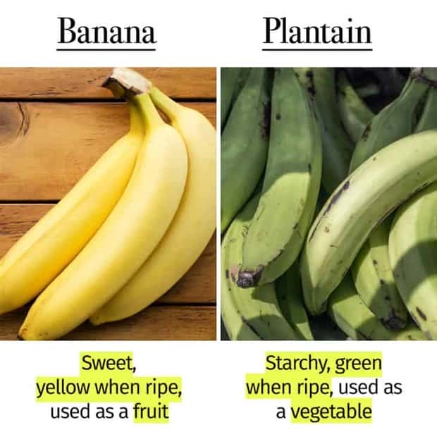 Things People Mix Up Constantly (39 photos)