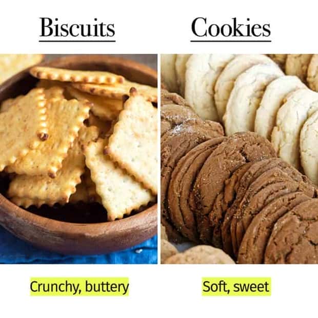 Things People Mix Up Constantly (39 photos)