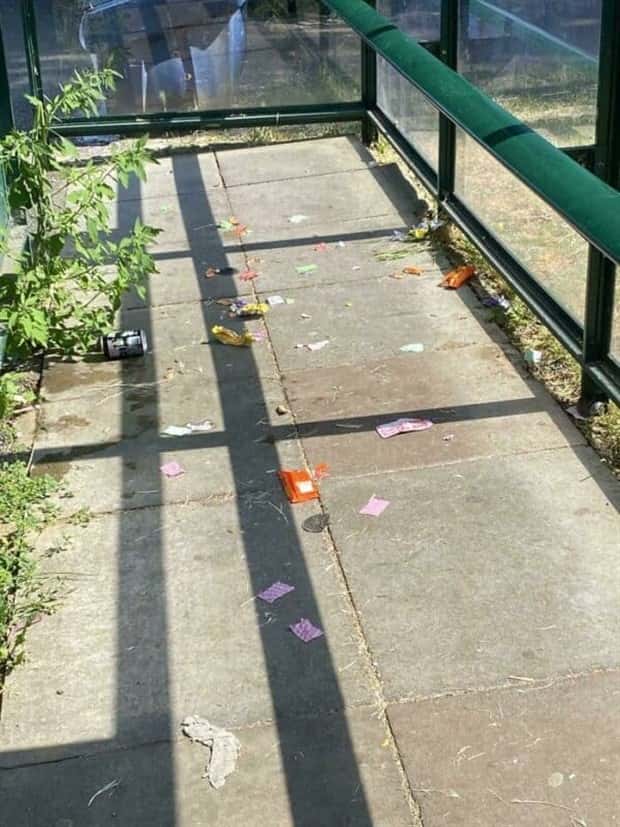 When Public Transportation Gets Too Weird (36 photos)