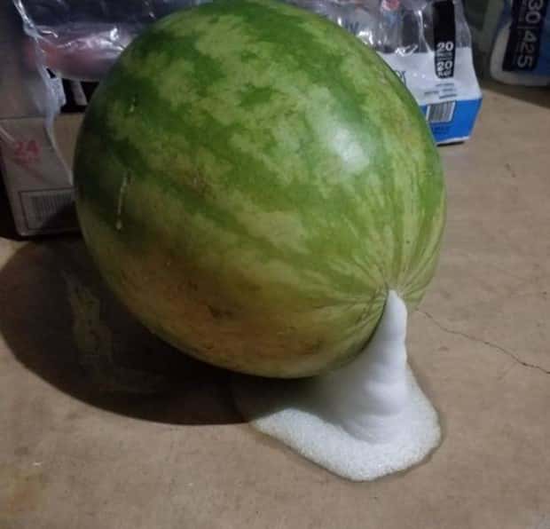 30 More WTF Photos, Because Why Not!?