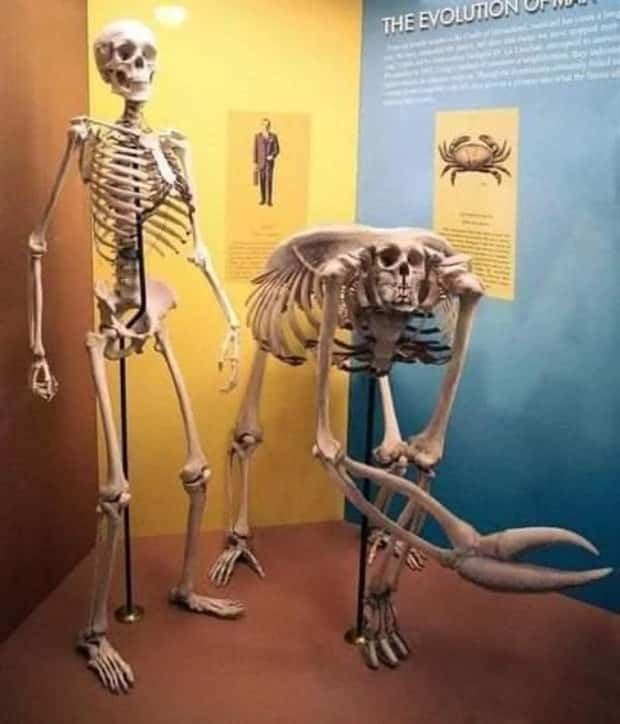 30 More WTF Photos, Because Why Not!?