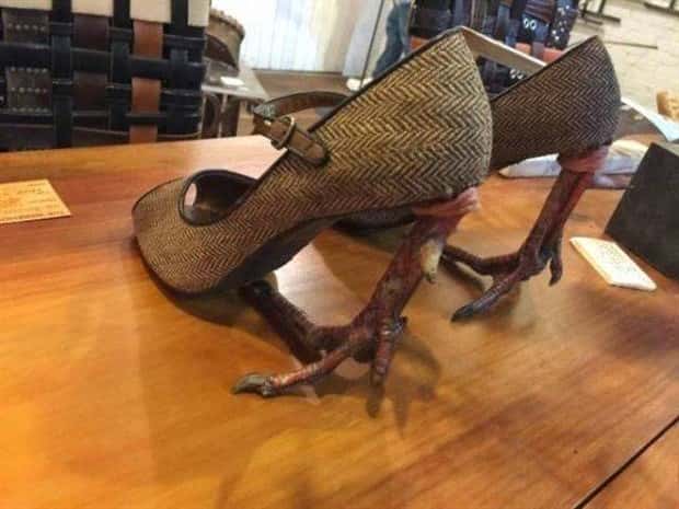 30 More WTF Photos, Because Why Not!?