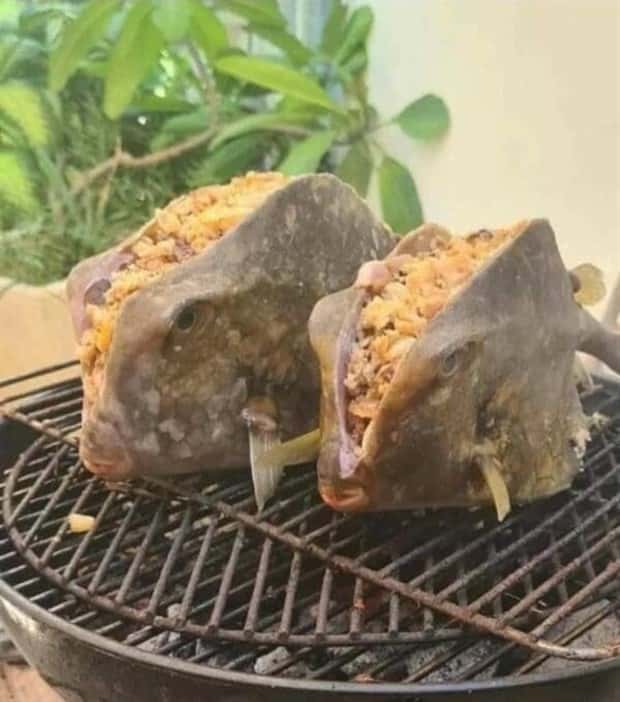 Food That Fights Your Appetite (22 photos)