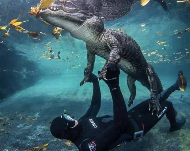 Awesome Pictures You Shouldn’t Miss #165 (23 photos)