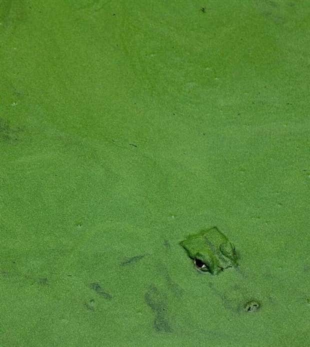 Awesome Pictures You Shouldn’t Miss #166 (21 photos)