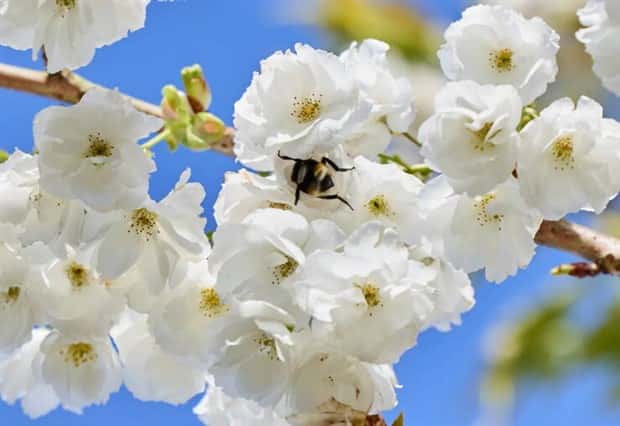 Awesome Pictures You Shouldn’t Miss #167 (22 photos)