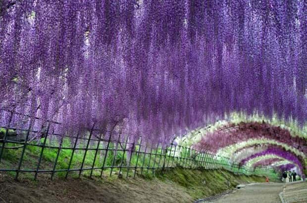 Awesome Pictures You Shouldn’t Miss #165 (23 photos)