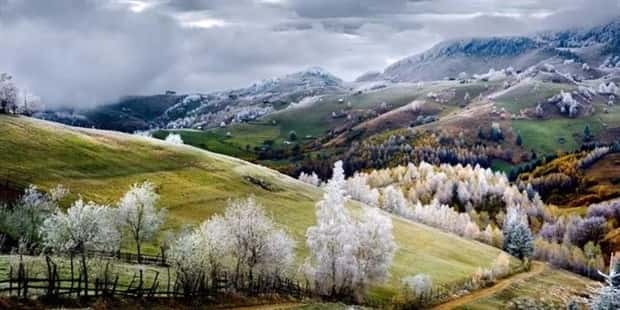 Awesome Pictures You Shouldn’t Miss #166 (21 photos)