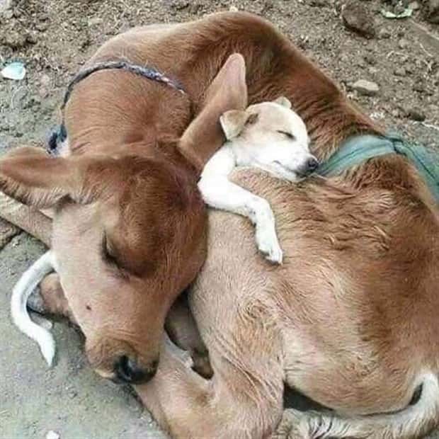 Awesome Pictures You Shouldn’t Miss #166 (21 photos)